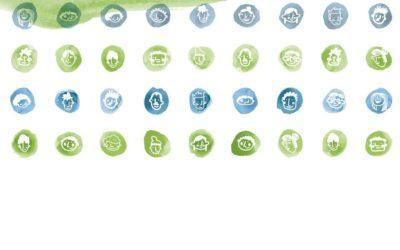 Informe anual Appleseed México 2018