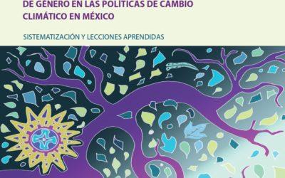Transversalización de la perspectiva de género en la políticas de cambio climático