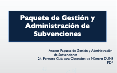 Formato Guía para obtencion de número DUNS