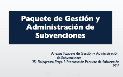 Flujograma Etapa 3 Preparación paquete de Subvención