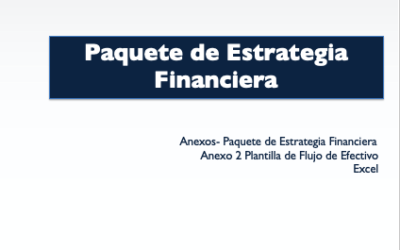 Anexo 2 Plantilla de flujo de efectivo