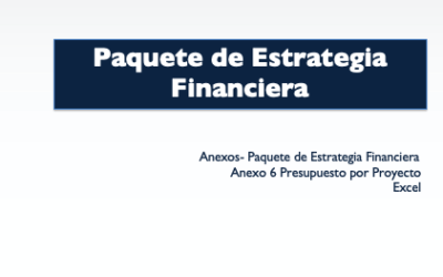 Anexo 6 Presupuesto por proyecto