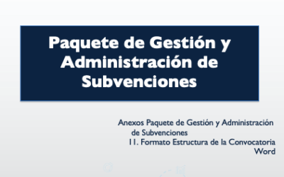 Formato Estructura de la convocatoria