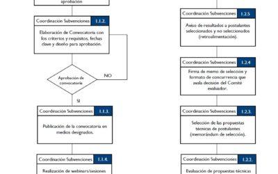 Flujograma Etapa 1 Convocatoria