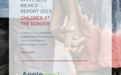 Children at Risk at the Border: Evaluation of the Protection and Care of Unaccompanied Mexican Migrant Children