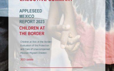 Executive Summary 2023 | Children at Risk at the Border: Evaluation of the Protection and Care of Unaccompanied Mexican Migrant Children