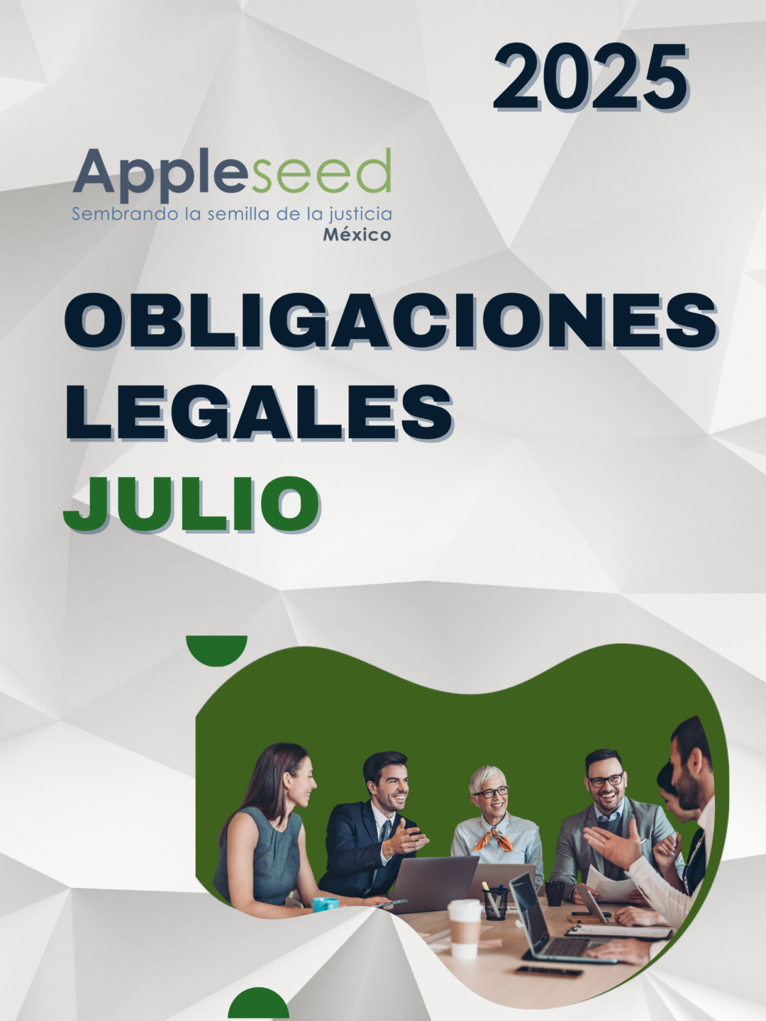 Obligaciones Legales OSC Julio 2025