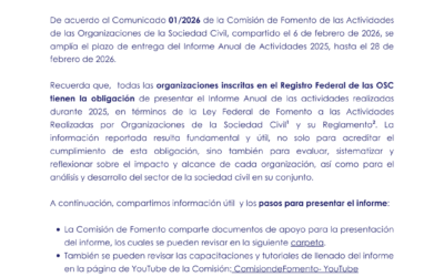 Ampliación del plazo para la entrega del informe anual 2025